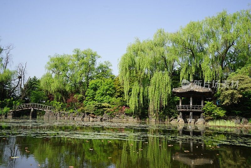 琶洲城墙花园植物园