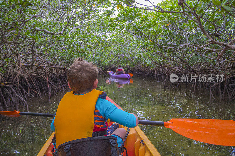 在佛罗里达基拉戈珊瑚礁国家公园的红树林中皮划艇