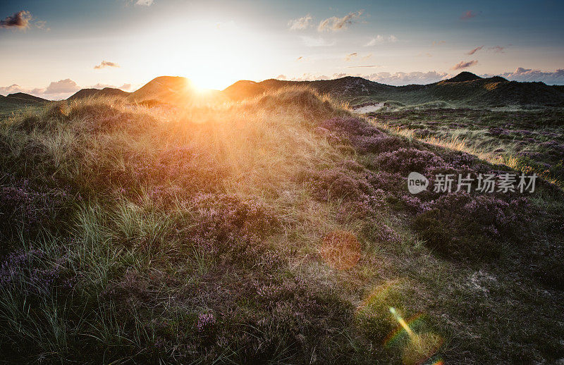 海岸景观岛的阿姆鲁姆