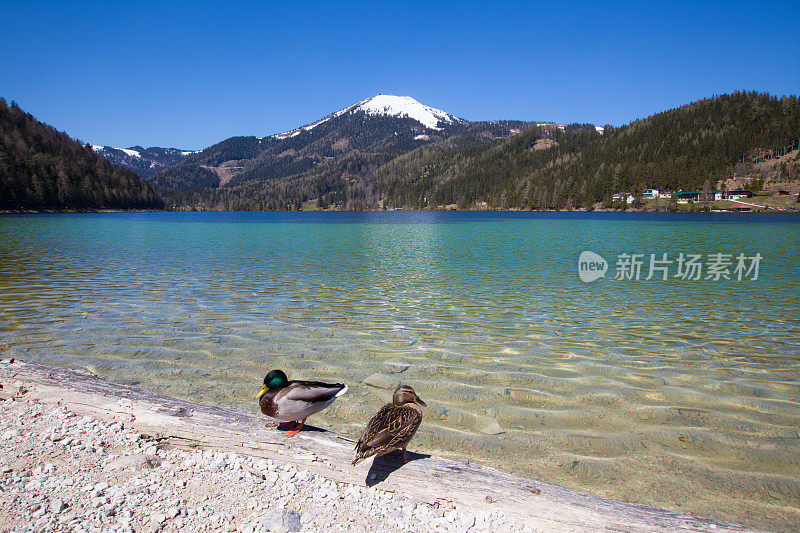 奥地利阿尔卑斯山的埃尔劳夫湖