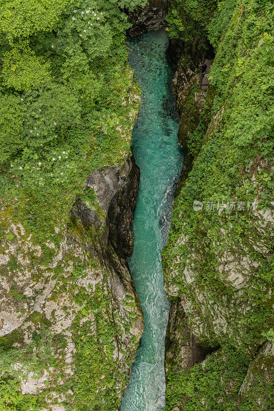 晶莹剔透的翡翠山河流之间的岩石峡谷托尔明峡谷在特里格拉夫国家公园，Primorska，斯洛文尼亚，朱利安阿尔卑斯，欧洲