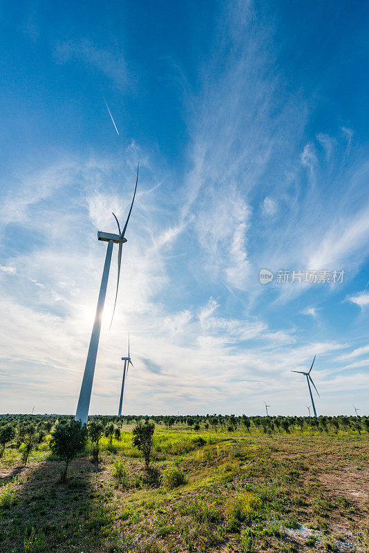 替代能源-风力涡轮机发电在普利亚，意大利