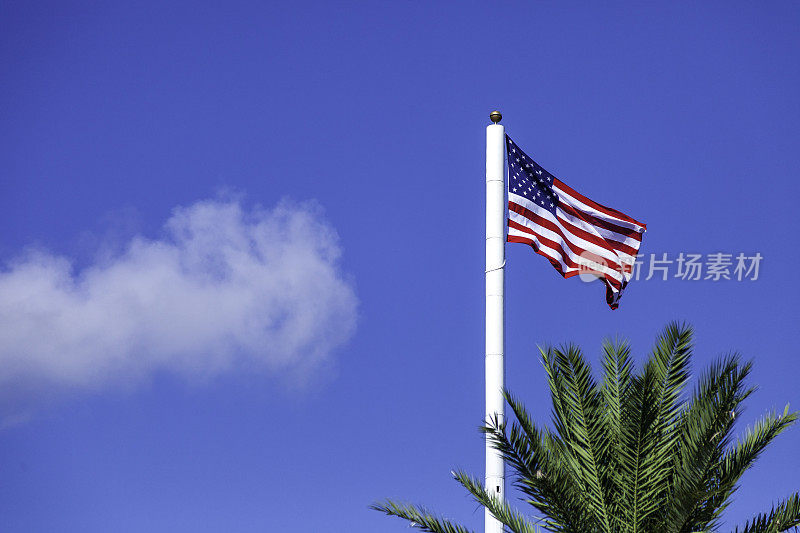 一面美国国旗在湛蓝的天空下展开，旁边有一棵棕榈树