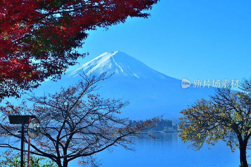 日本富士五湖地区的富士山和秋叶色