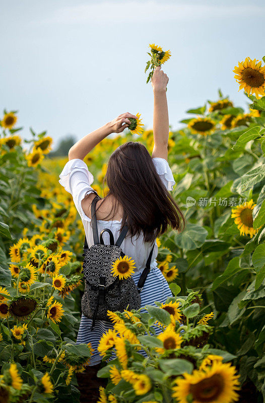 向日葵地里的美丽姑娘