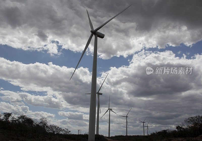 风力发电场安装在巴西