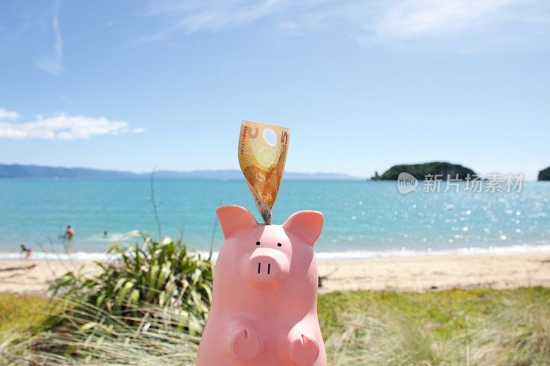 新西兰币(NZD)与小猪银行在海滩