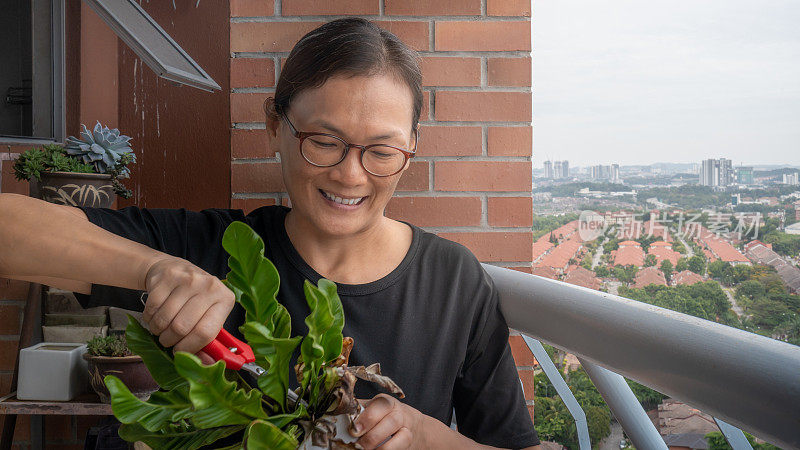 美女修剪植物