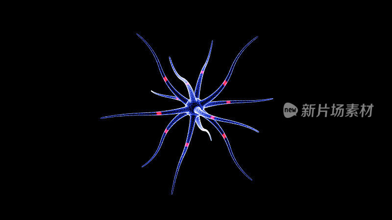 神经元在黑色背景上的3D渲染。神经细胞发出红光。