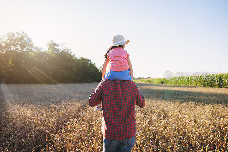 父亲背着他的女儿在日落时穿过麦田日落时穿过麦田