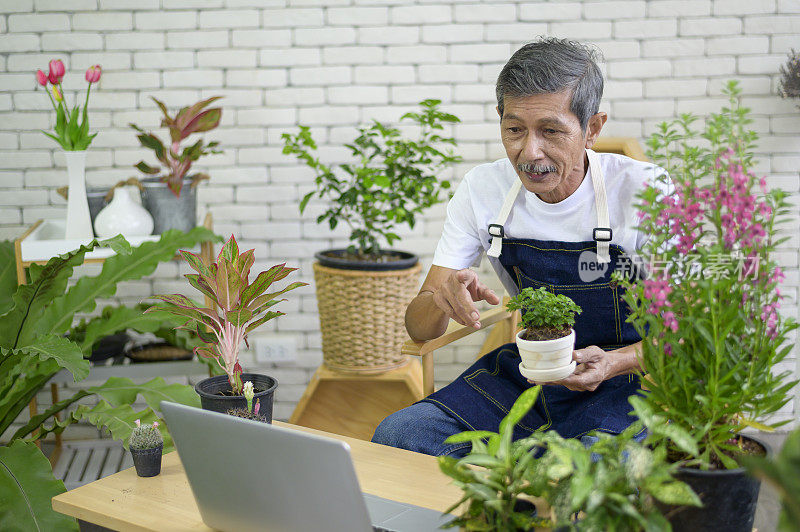 高级男子企业家工作与笔记本电脑在家直播室内植物，销售在线概念