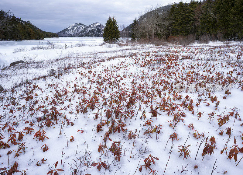 冬季，阿卡迪亚国家公园的约旦池塘和泡泡山