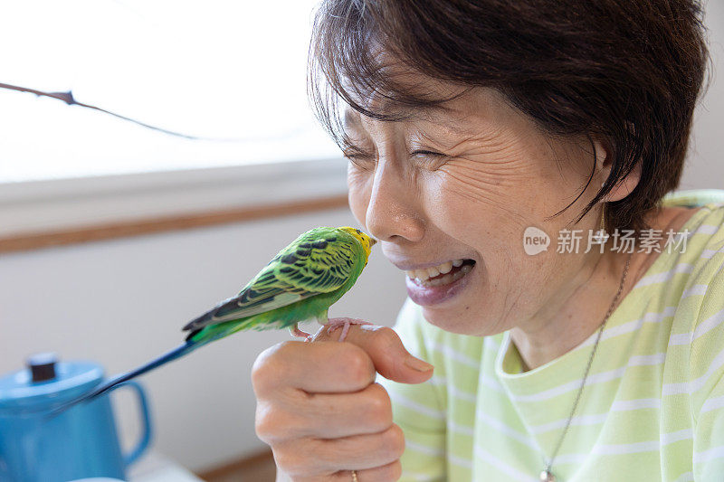 老女人和宠物鸟玩