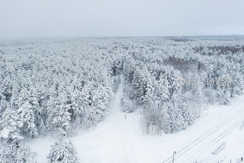 鸟瞰图的混合森林覆盖着雪。