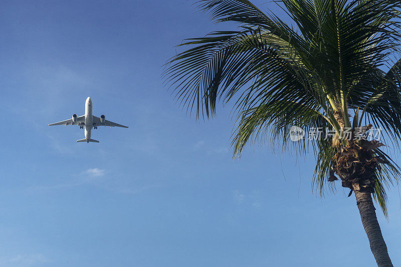 飞机在新加坡东海岸公园上空飞行