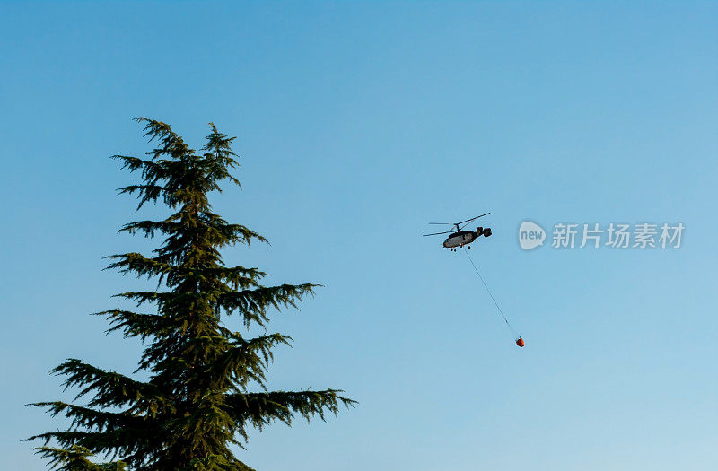 救火直升机为森林火场送水