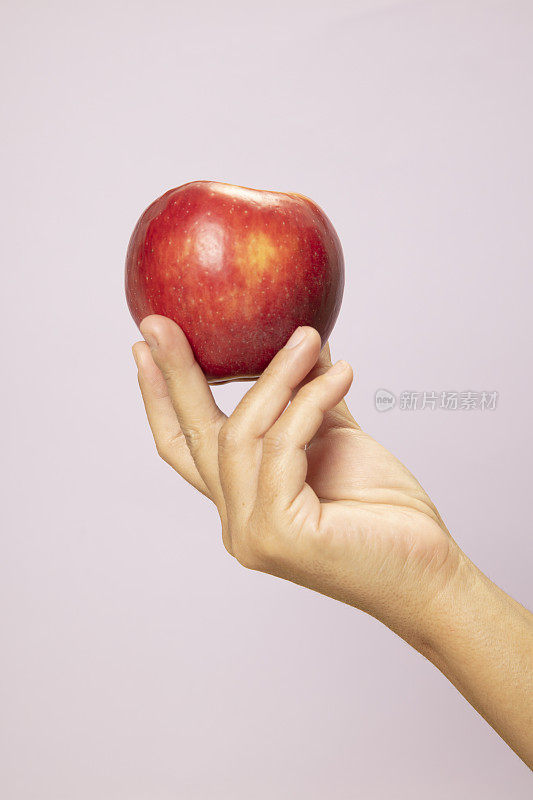 女性手握和显示红色的苹果在粉红色的纸背景。