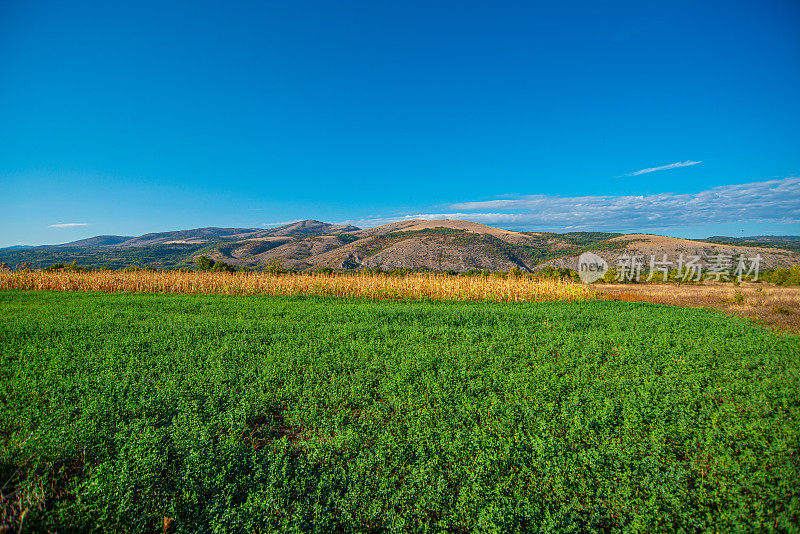 山野秋色，山野平原景观