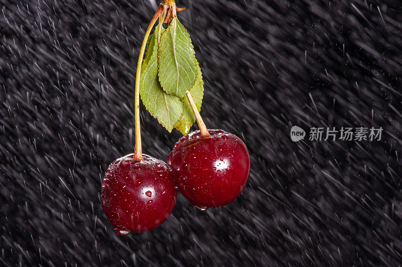 两个樱桃与雨的效果在黑色的背景上