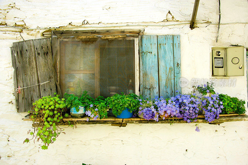 从小村的老房子用盆花关窗