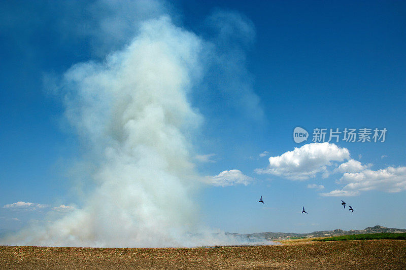 燃烧的农田和飞鸟的地面水平视图