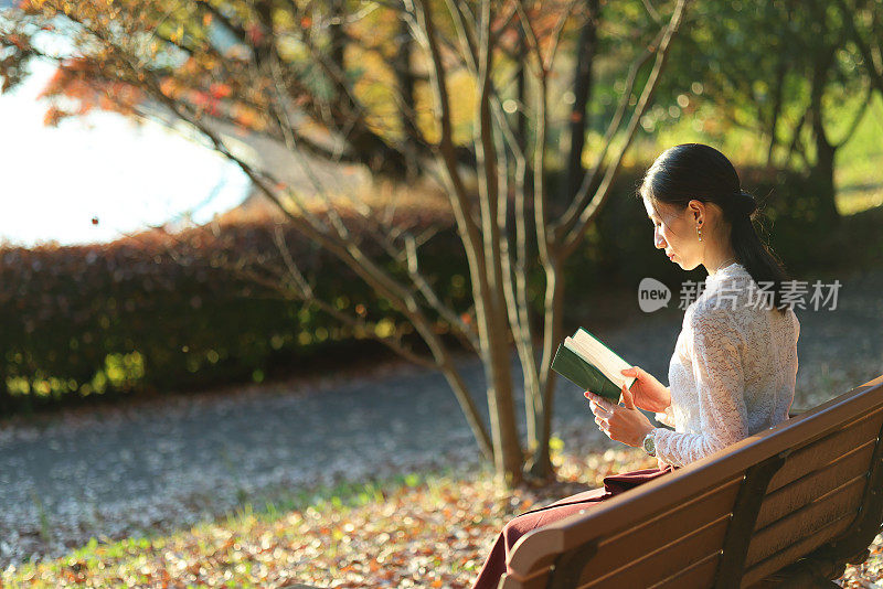 美丽的女士在日落公园的长椅上看书