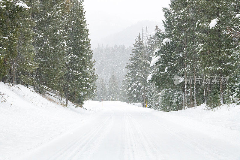 美国蒙大拿州黄石公园和库克城之间的高速公路大雪后的冬季景象