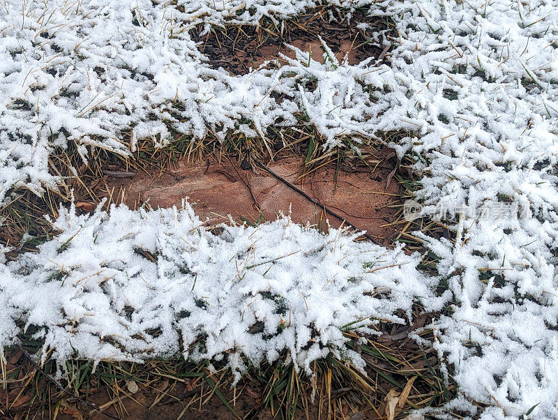 犹他州洛克维尔降雪后，草坪和露台人行道上的积雪特写