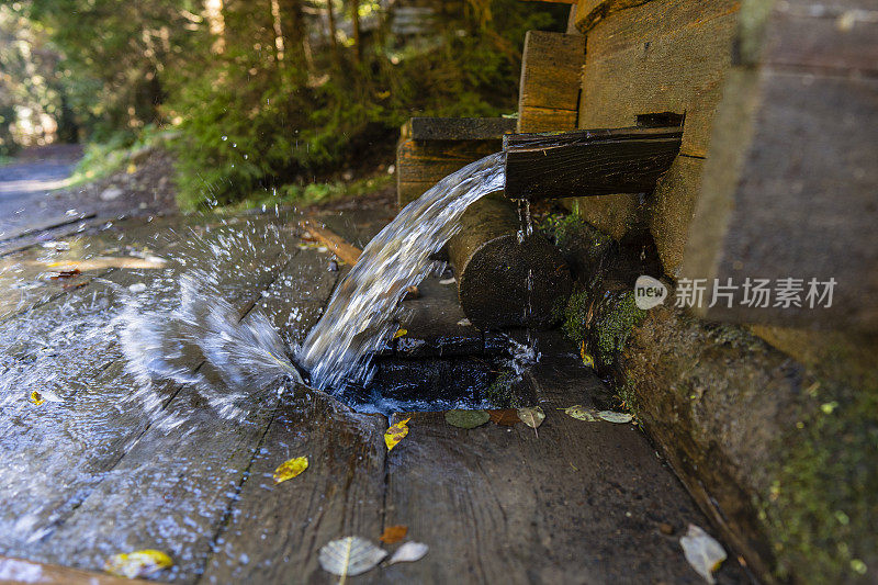 暖暖的秋日，喀尔巴阡山脉的泉水，特写。西乌克兰。山林里的木泉，有干净的饮用水。纯净、新鲜、纯天然冷水