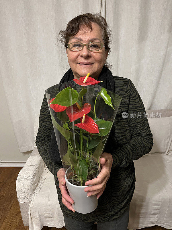 老年西班牙妇女手持室内植物礼物