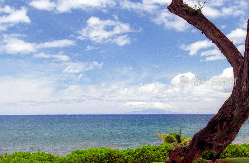 夏威夷海洋