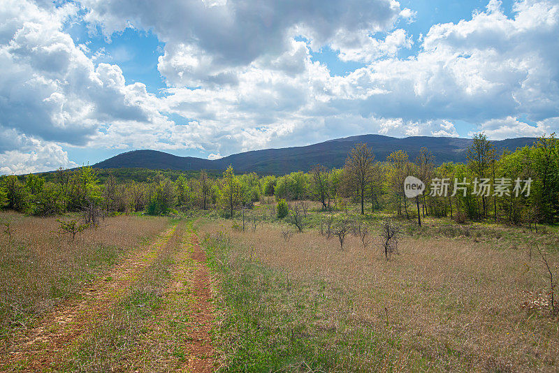 塞尔维亚南部美丽的春景。苏瓦平原山