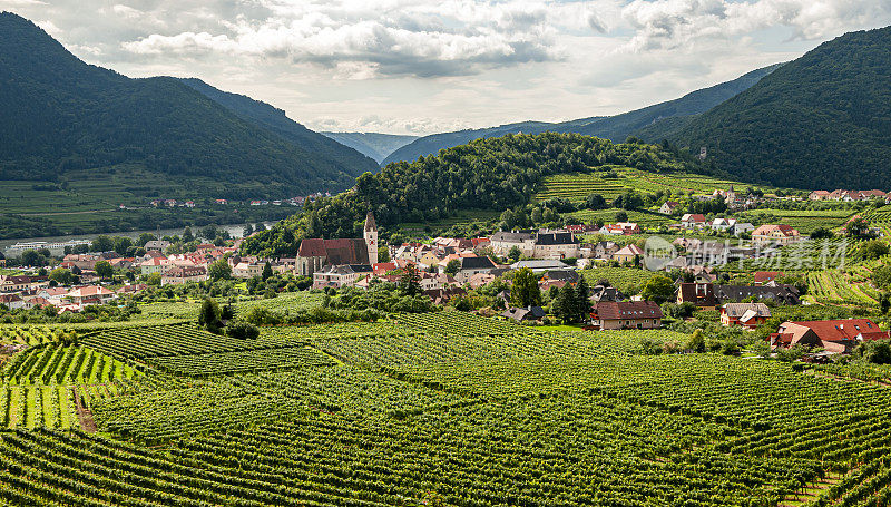 俯瞰位于奥地利瓦豪(下奥地利)葡萄酒产区的著名小镇“斯皮茨和多瑙”。