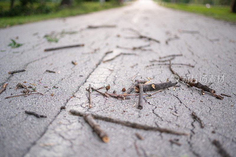 暴风雨过后潮湿的小路上的树叶和小树枝