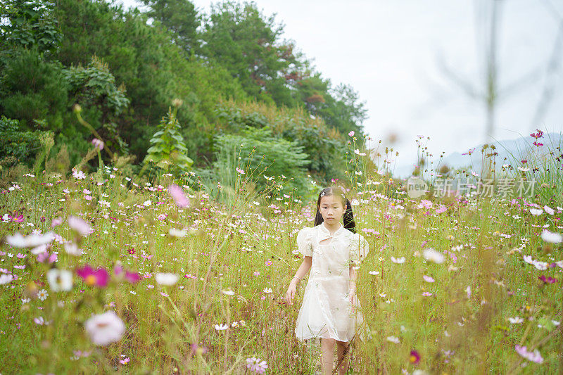 花丛中的小女孩