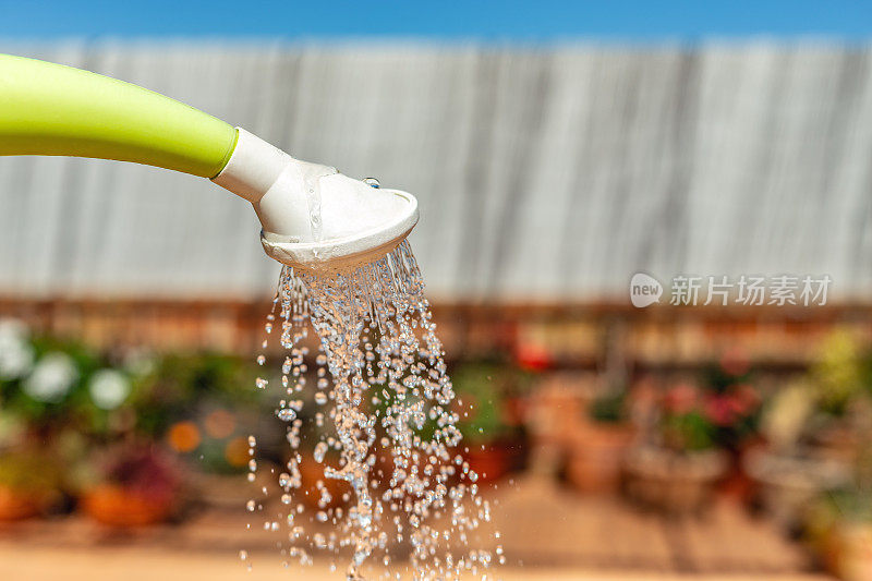 一个洒水罐向屋顶花园的植物浇水的微距镜头。