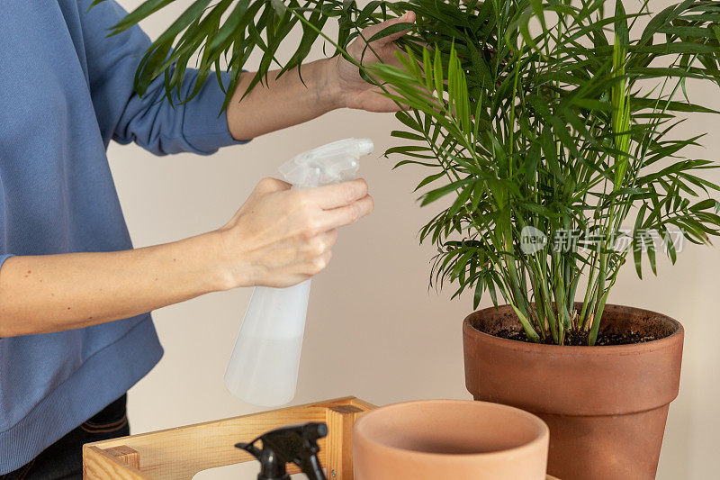 女人正在花盆里种花