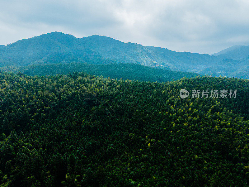 高山森林的航空摄影