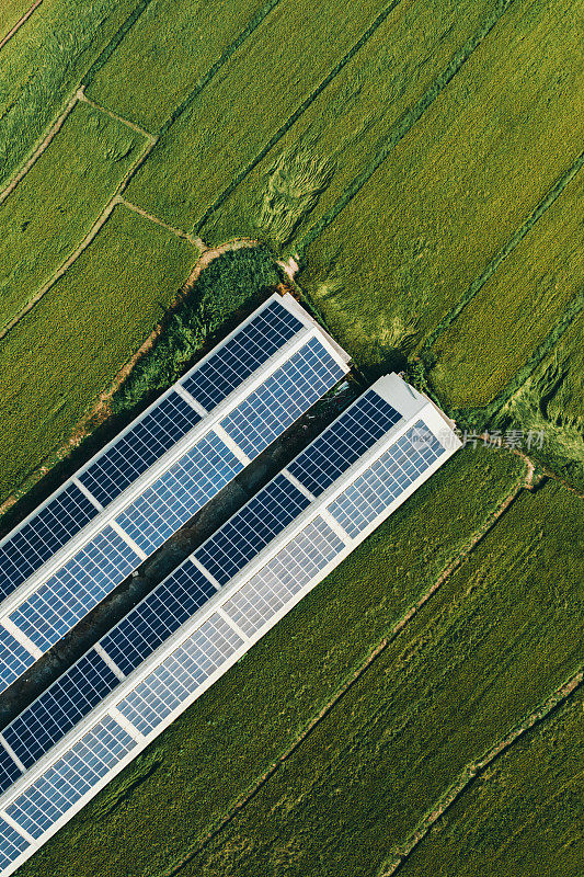 太阳能板鸟瞰图，台湾农业景观