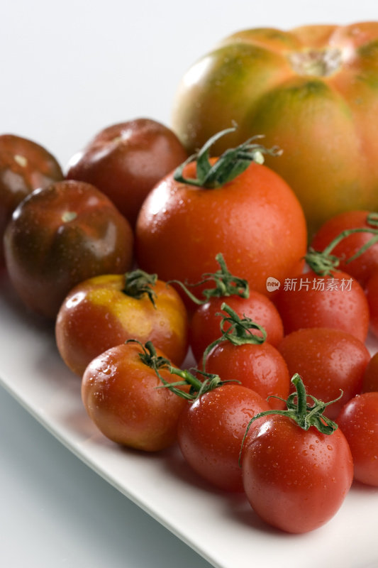 地中海西红柿