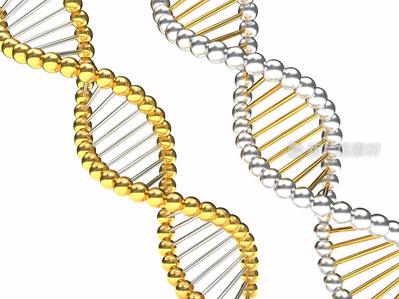 金色和银色的DNA链