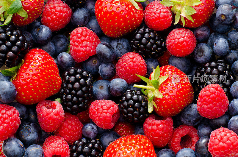 混合野莓-草莓，蓝莓，黑莓和覆盆子