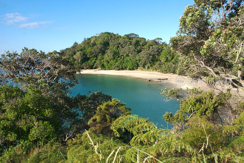 新西兰海滩景观