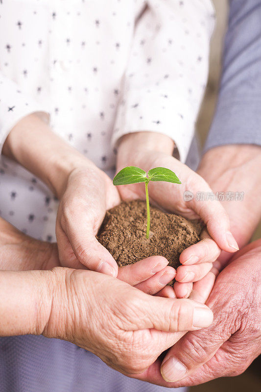 亲情:母亲捧着植物