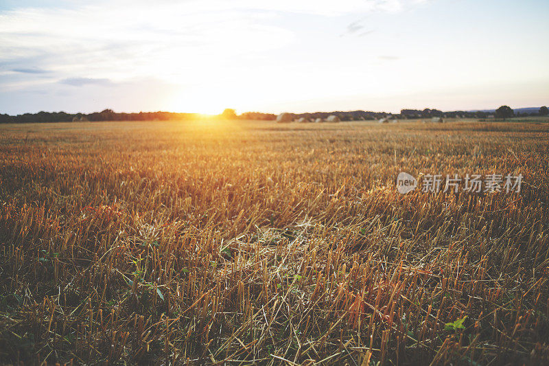 草地上的夕阳