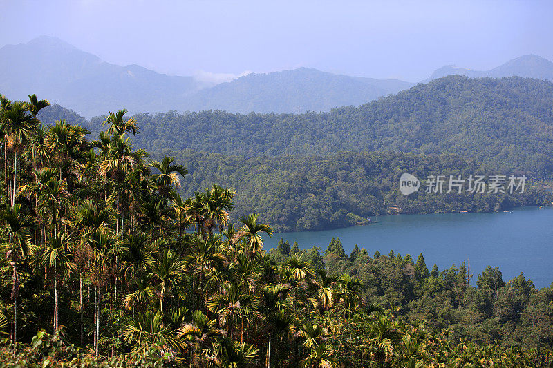 台湾远光，日月潭岸边，绿树成荫的小山