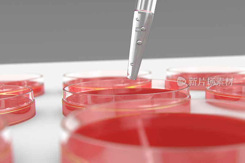 透明塑料实验室移液管在培养皿上
