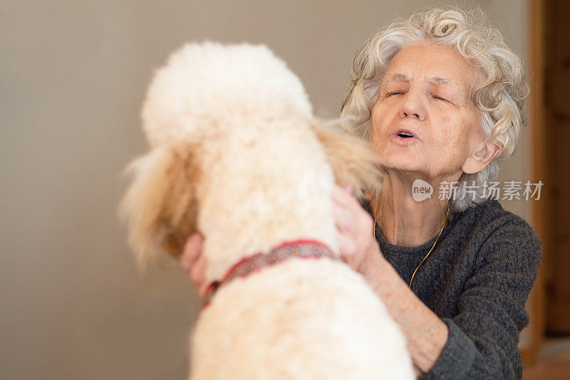 年长妇女与服务犬交谈