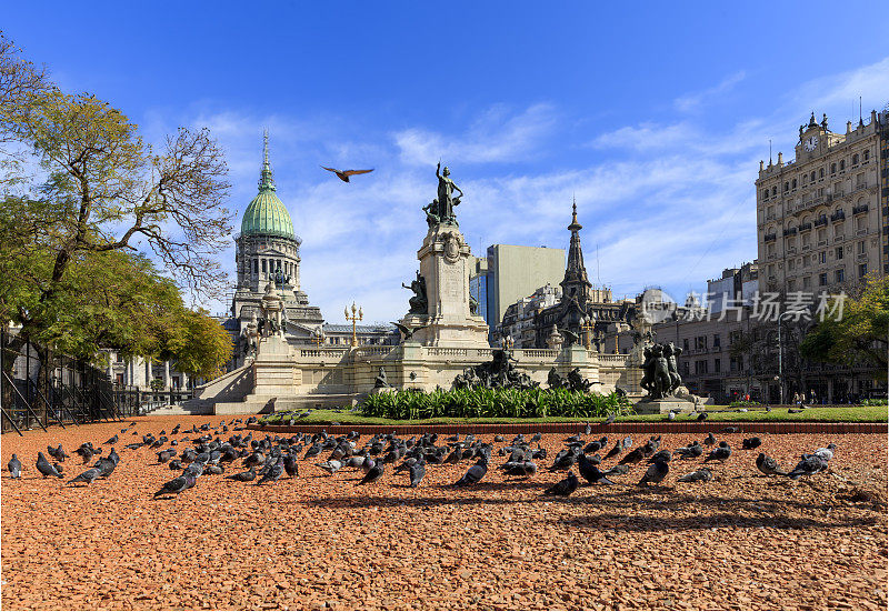 阿根廷布宜诺斯艾利斯的国会