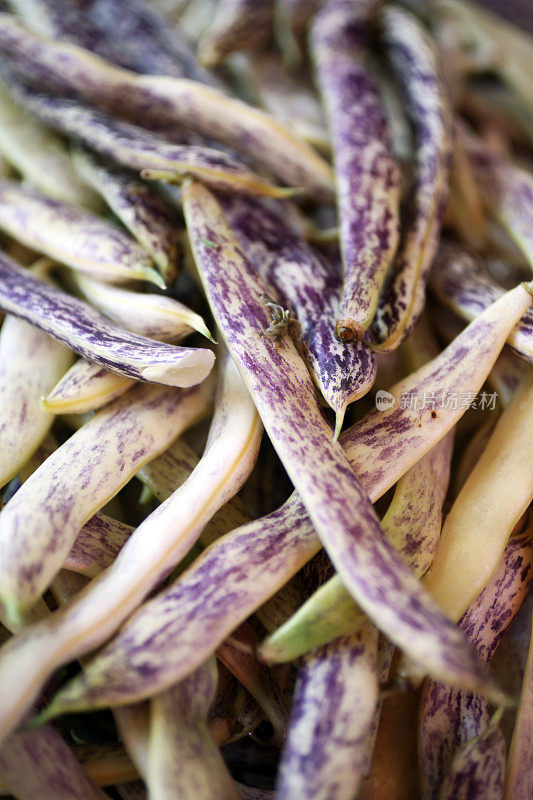 新鲜蔬菜紫菜豆宏